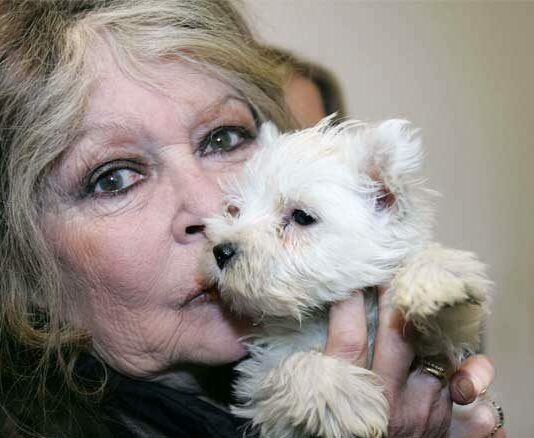 بريجيت التي تدافع عن حقوق الماعز وتحلل ذبح المسلمين