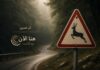 أثر الخنزير طريق يمر وسط غابة وإلى جانبه لافتة مرورية تحذر من عبور الغزلان
