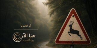 أثر الخنزير طريق يمر وسط غابة وإلى جانبه لافتة مرورية تحذر من عبور الغزلان