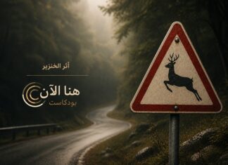 أثر الخنزير طريق يمر وسط غابة وإلى جانبه لافتة مرورية تحذر من عبور الغزلان
